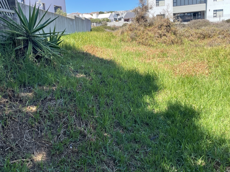 0 Bedroom Property for Sale in Myburgh Park Western Cape